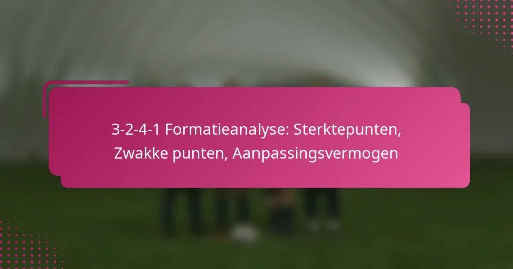3-2-4-1 Formatieanalyse: Sterktepunten, Zwakke punten, Aanpassingsvermogen