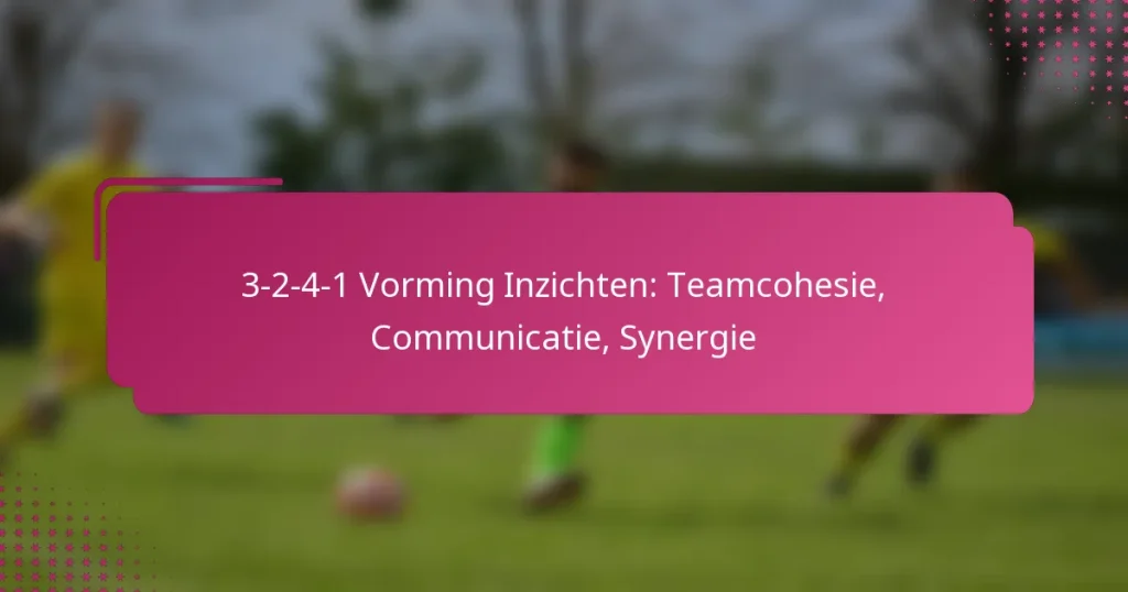 3-2-4-1 Vorming Inzichten: Teamcohesie, Communicatie, Synergie